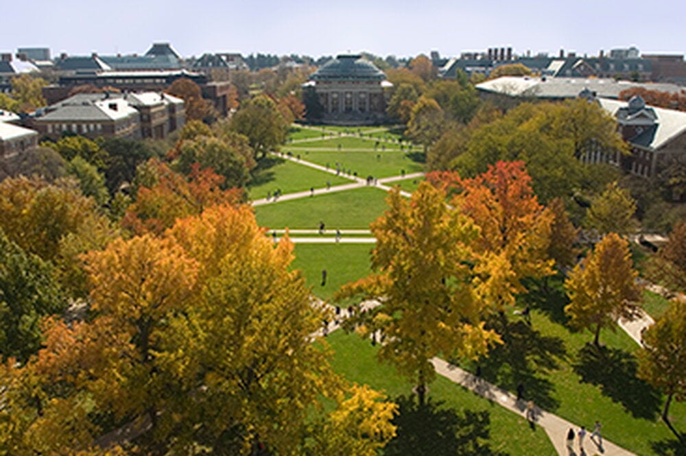 LAS announces new department, unit heads