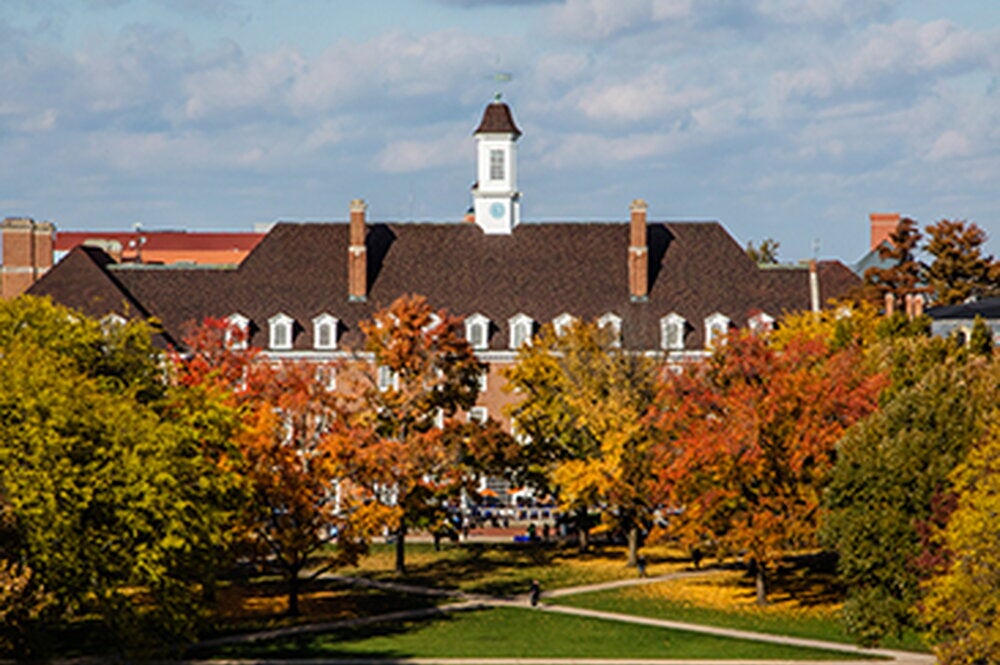 Fourteen Illinois students and alumni offered Fulbright grants