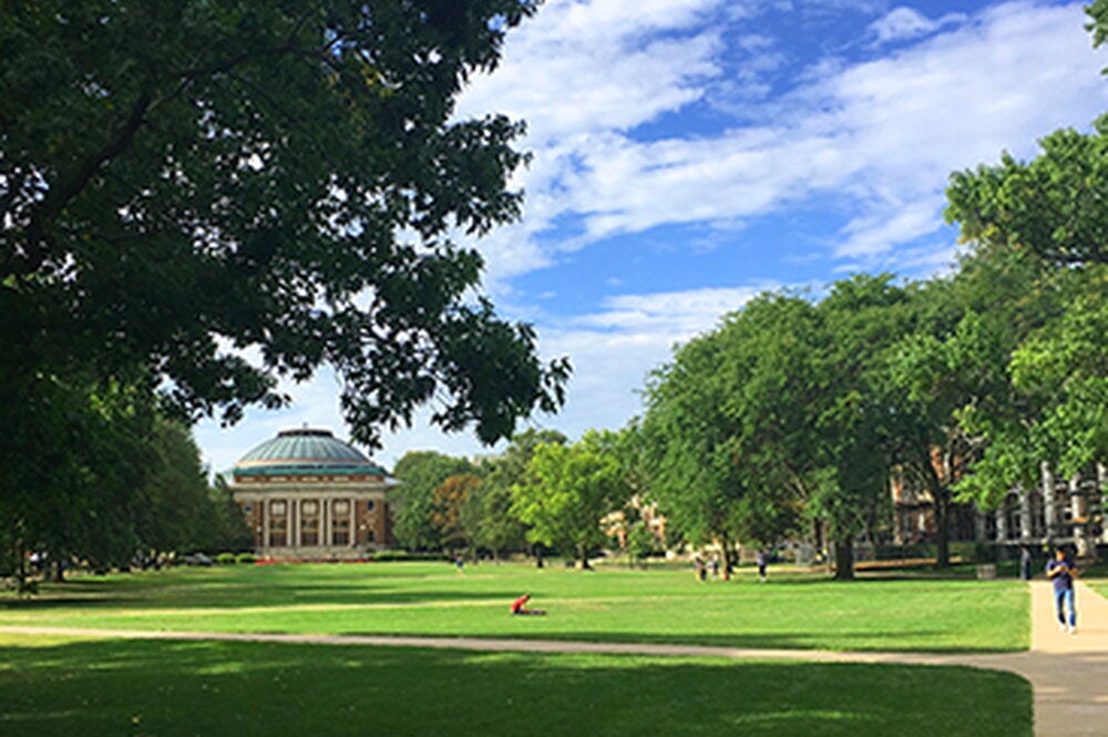 New department and unit heads assume duties at LAS