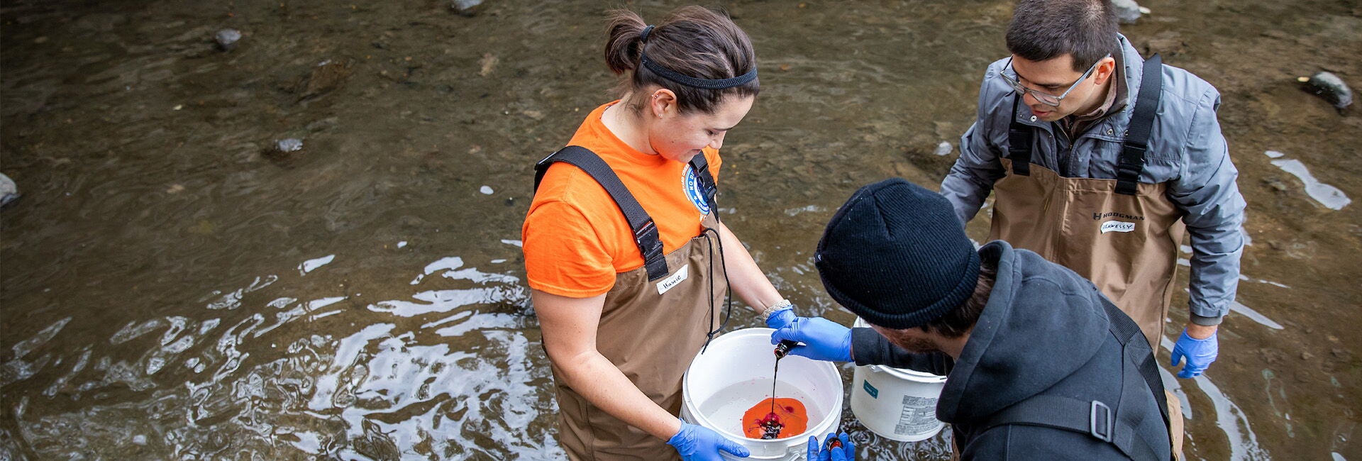 Students in a river