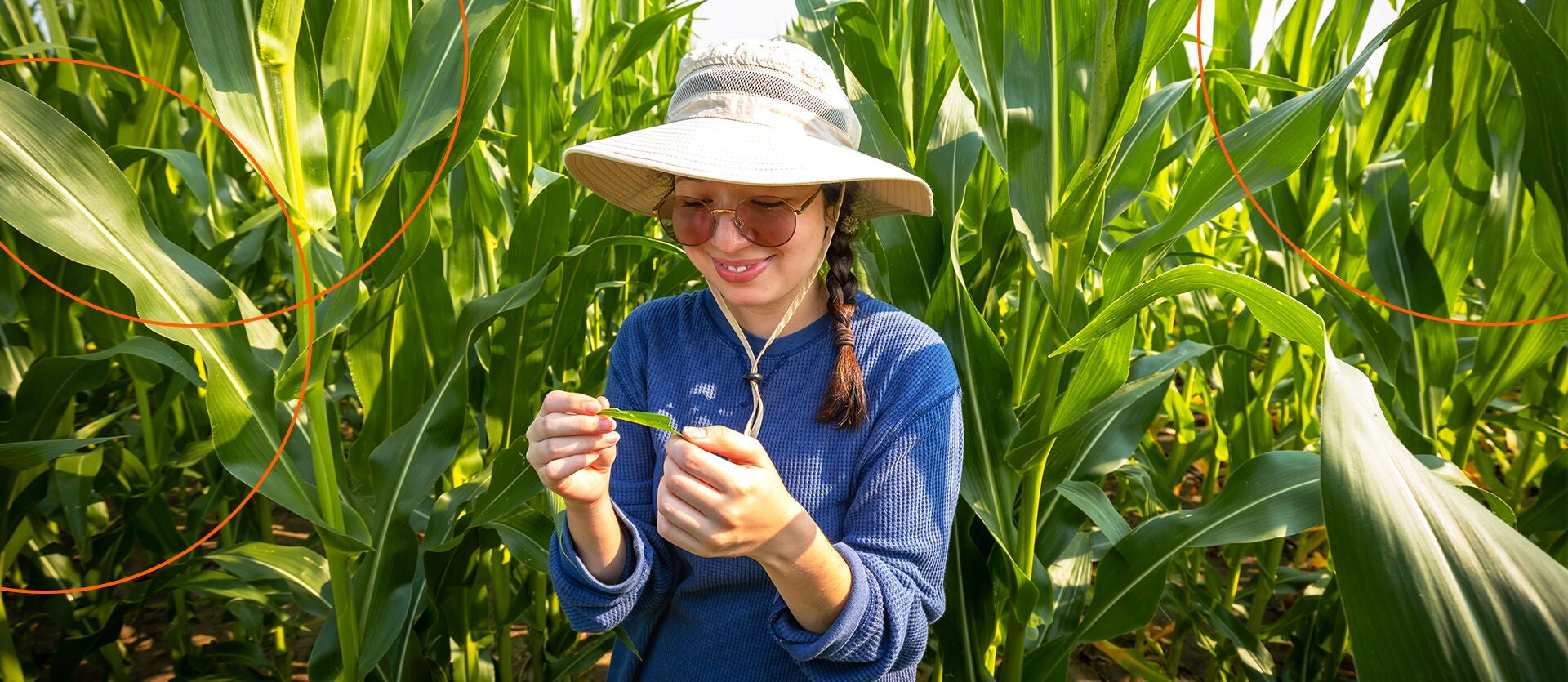 A student conducts undergraduate research