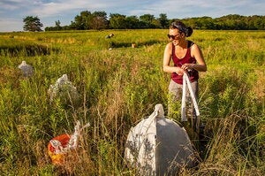 person in a field