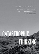 Catastrophic thinking