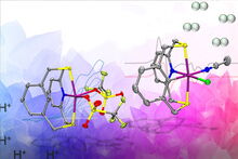 Enzyme illustration