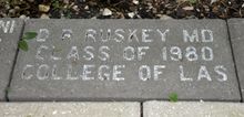 D.R. Ruskey MD