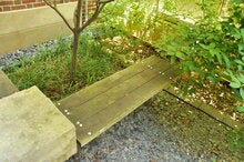 Laurellen Porter (PhD)