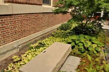 Brian and Linda Hoehn Graff