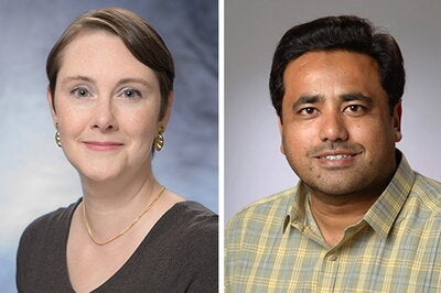 Study co-lead Amy Marshall-Colón, left, and postdoctoral researcher Rizwan Riaz