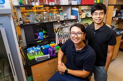 Graduate student Owen Ouyang, left, and professor Nicholas Wu