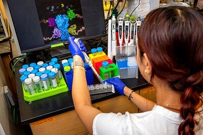 Undergraduate researcher Meixuan Tong performs an analysis