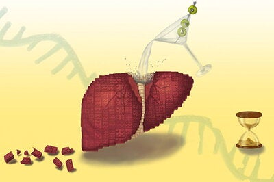 Liver illustration
