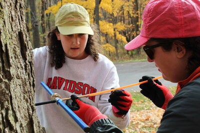 Students taking a core sample