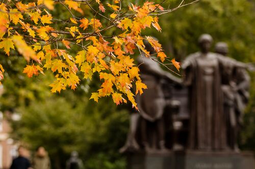 University of Illinois bucket list: The best of all seasons