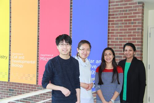 From left: Graduate students Yo-Chuen Lin and Rosaline Hsu, Mariam Komal Harif, and professor Supriya Prasanth.