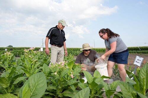 Researchers in a field