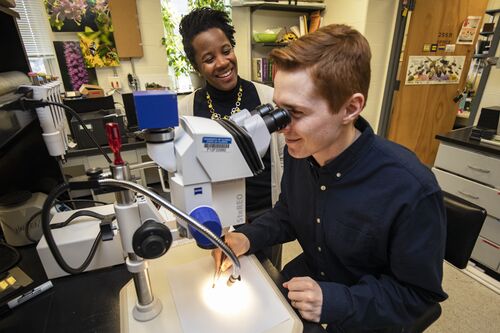 Alex Harmon-Threatt and Nick Anderson at microscope