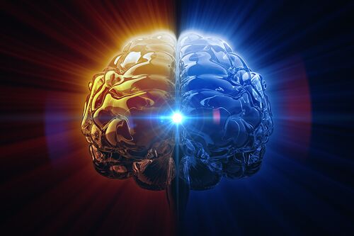 Image of brain