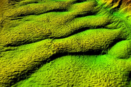 Image of river dune