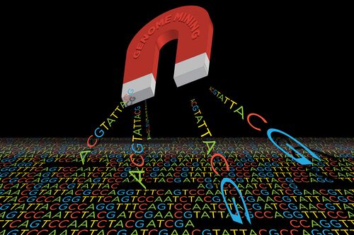 Genome mining graphic