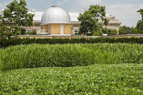 University of Illinois Observatory