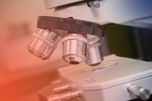 Microscope image