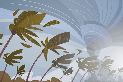 Graphic illustration of palm trees