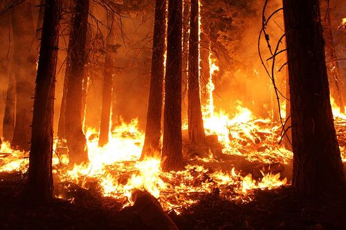 Wildfires