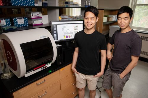 Timothy Tan (left) and Nicholas Wu