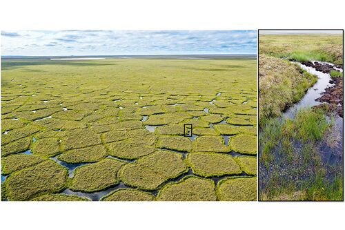 Permafrost degradation in northern Alaska