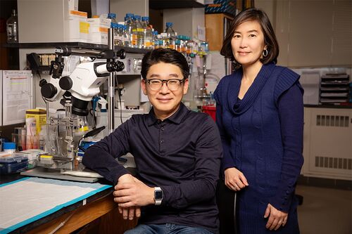 Illinois postdoctoral researcher Eung Chang Kim and professor Hee Jung Chung