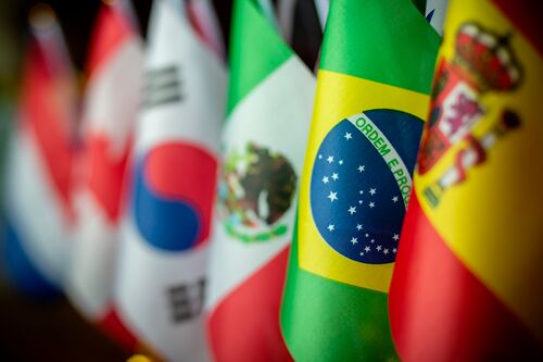 Flags arranged in a row