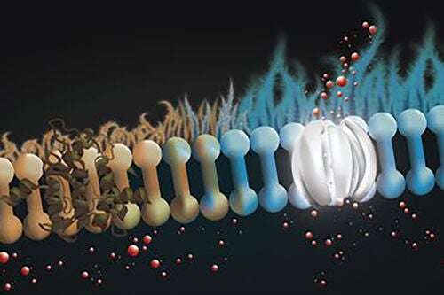 Molecular illustration of cystic fibrosis