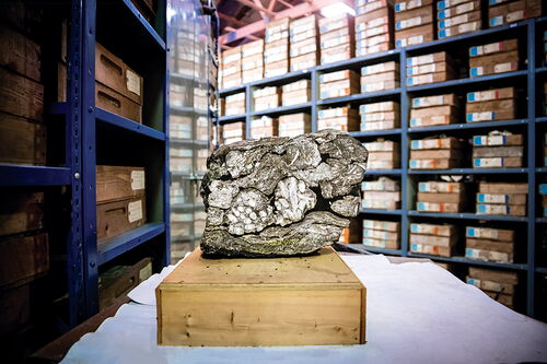 A coal ball can be cut open to learn more about the ancient past