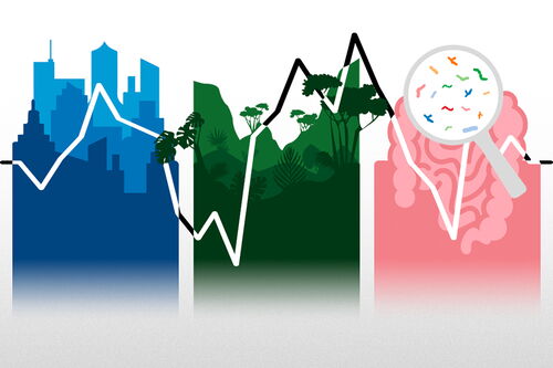 Single model graphic