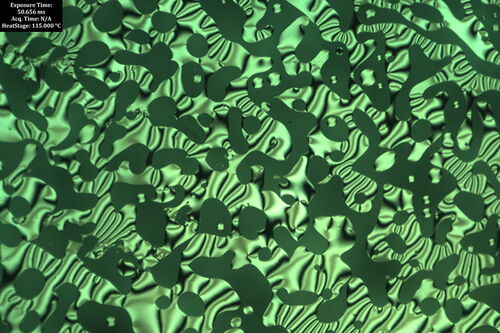Optical micagraph
