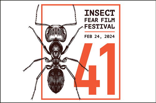 Insect Fear Film Festival graphic