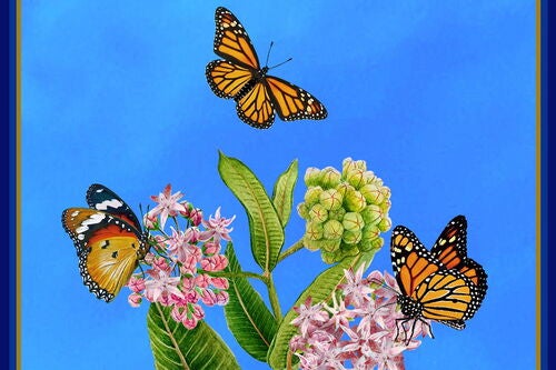 Butterfly exhibit art