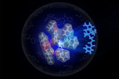 Enzyme catalyst