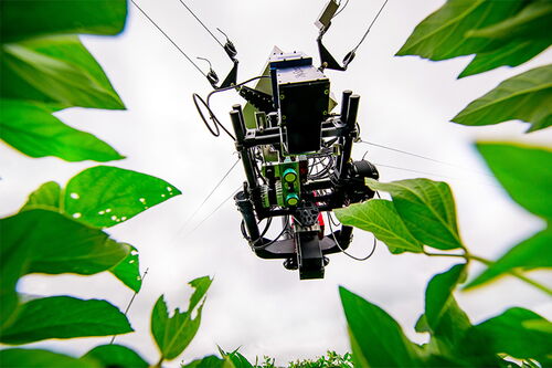 Sensor dolly