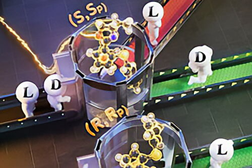 Different versions of a polymer