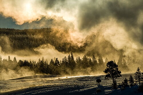 The art and science of Mammoth Hot Springs