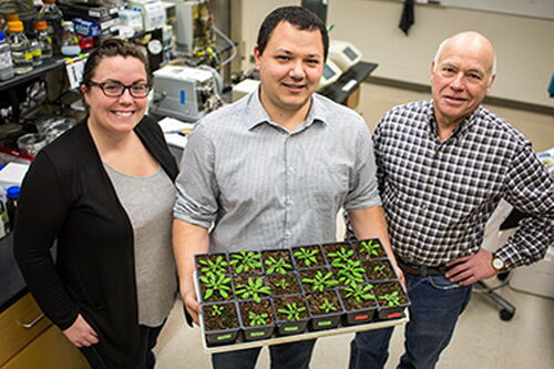Newly characterized protein has potential to save U.S. farmers millions annually