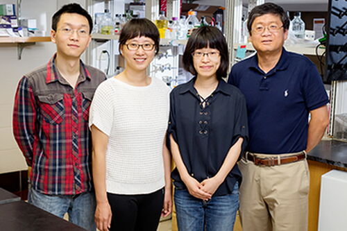 Study offers new insight into powerful inflammatory regulator