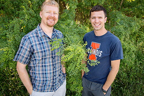 Undergraduates improve plant carbon-cycle models