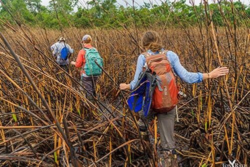 Searching for an ancient Maya pilgrimage path: Fire and water