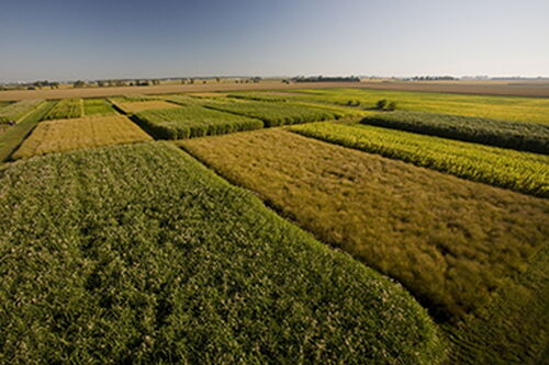 U of I receives $10.6 million to produce biodiesel and biojet fuel