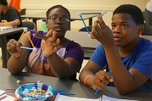 Adding new minds to math