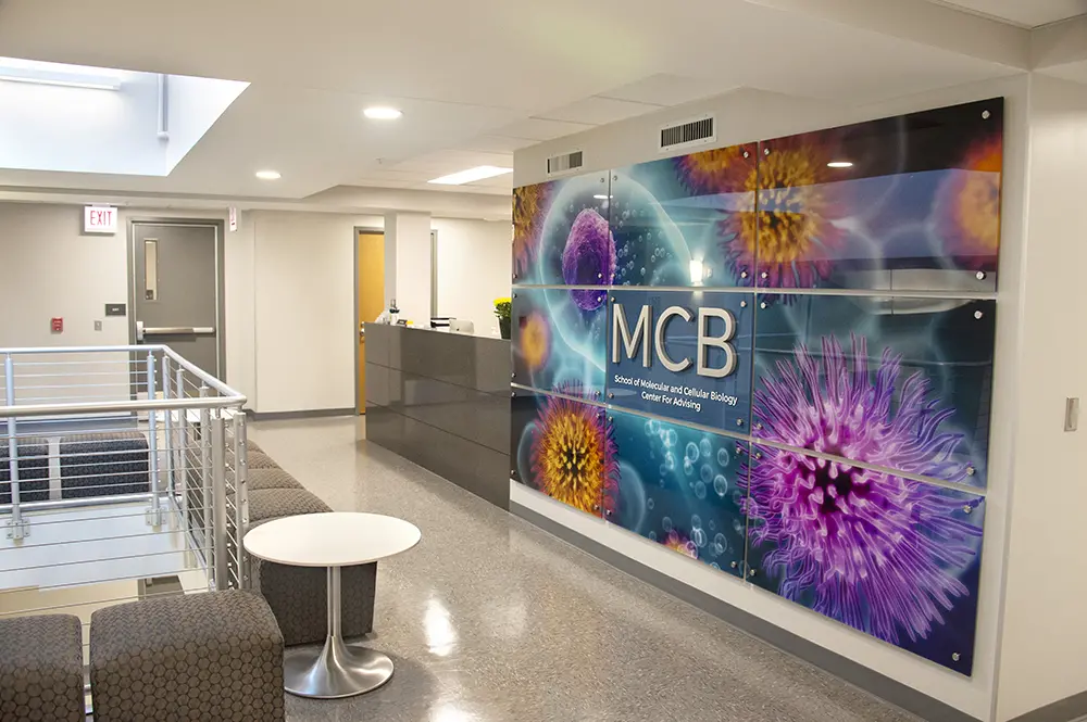 The School of MCB Learning Center for Instruction and Advising