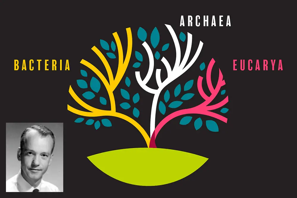 Ralph Wolfe and archaea graphic image