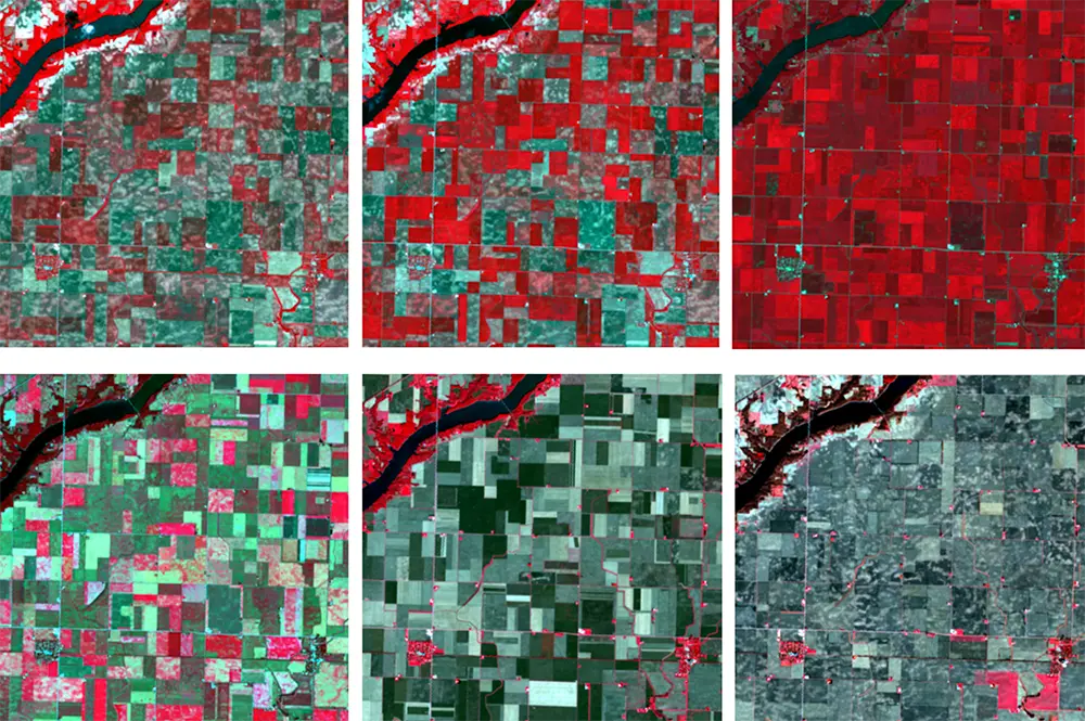 Crop forecasting images